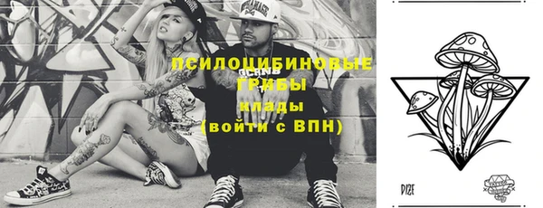 прущие крисы Абинск