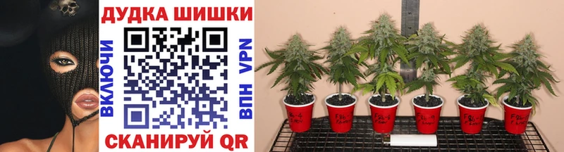 OMG ССЫЛКА  Орск  Бошки Шишки Amnesia  закладки 
